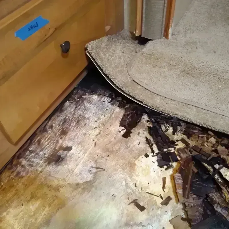 Wood Floor Water Damage in Alger County, MI